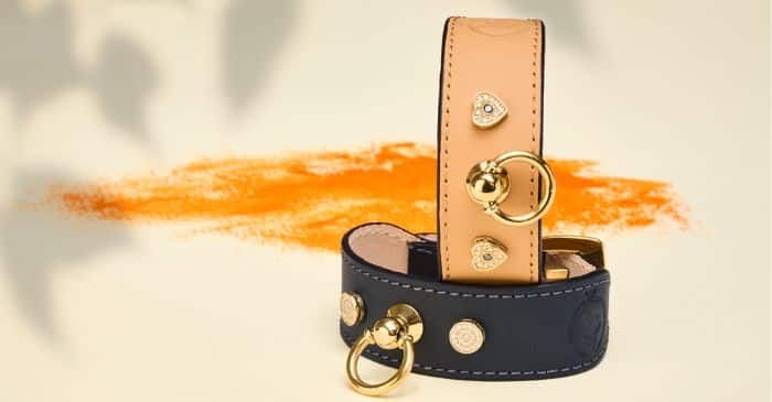 MAYADORO Dog Collar and matching bracelet adorned with white and black diamonds - crafted to express connection and timeless elegance.