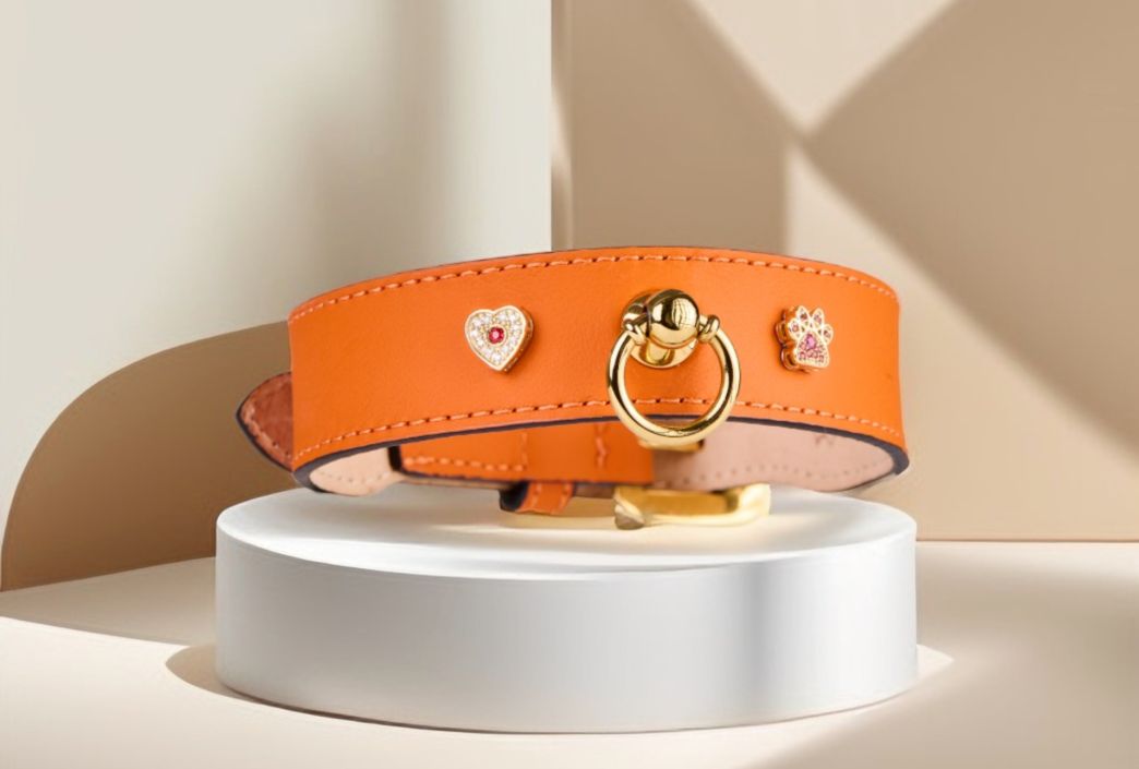 Image of MAYADORO orange dog collar with 14k gold paw and heart charms adorned with diamonds and orange sapphires, crafted with the finest Italian leather, made in Italy.