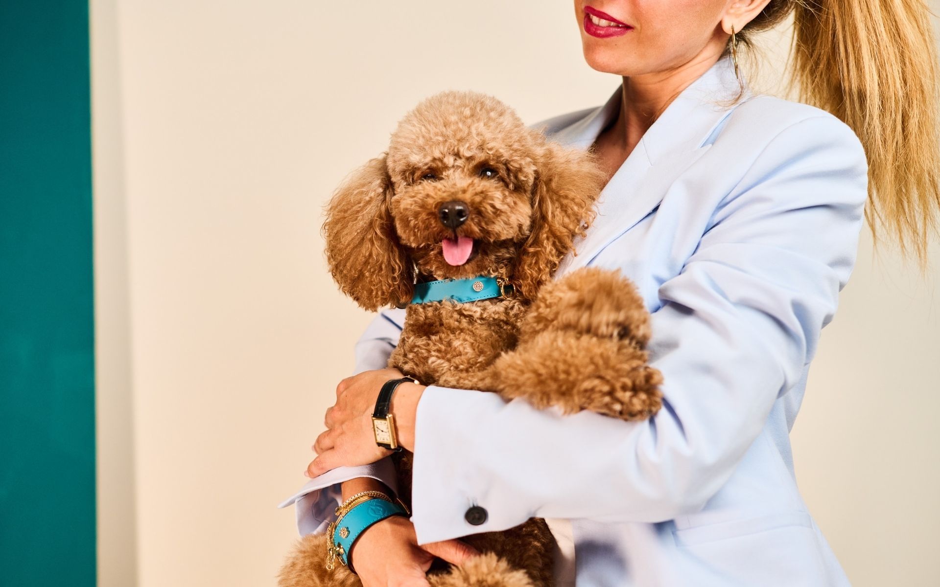 Woman holding her Poodle wearing a MAYADORO Dog Collar with matching bracelet, reflecting elegance and companionship