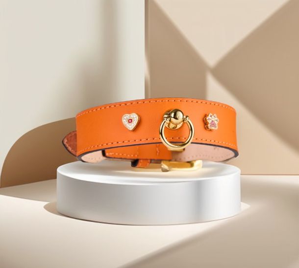 Image of MAYADORO orange dog collar with 14k gold paw and heart charms adorned with diamonds and orange sapphires, crafted with the finest Italian leather, made in Italy.