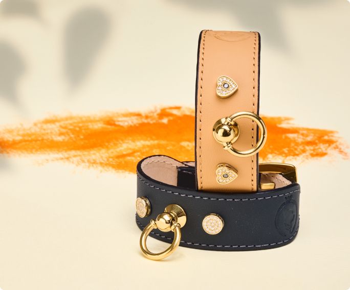 Luxury Designer Dog Collar And Leash