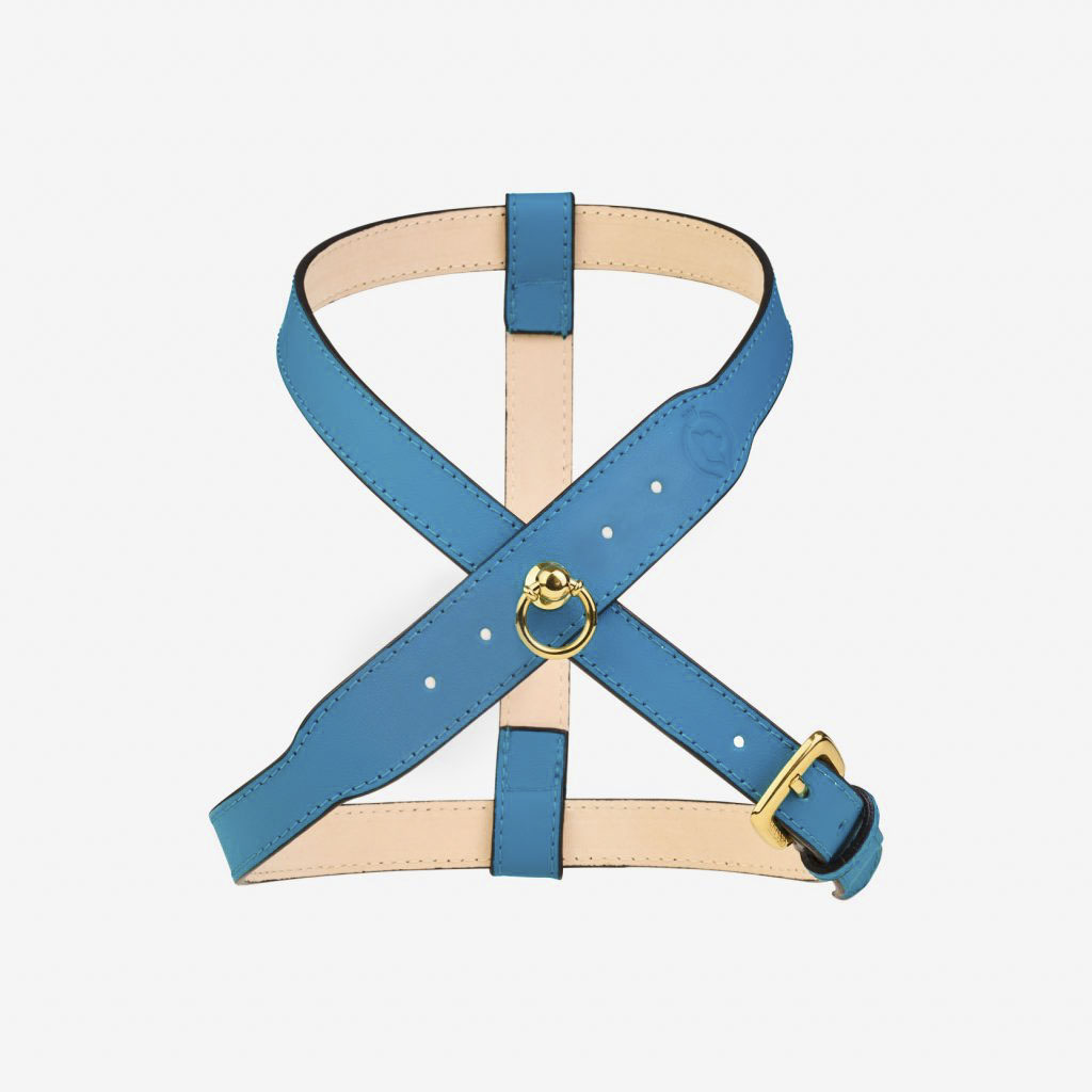 Mayadoro luxury dog harness turquoise