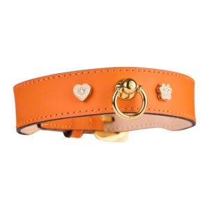 Luxury dog collar with diamonds and 14k gold charms – Signature Dog Collar Orange by MAYADORO
