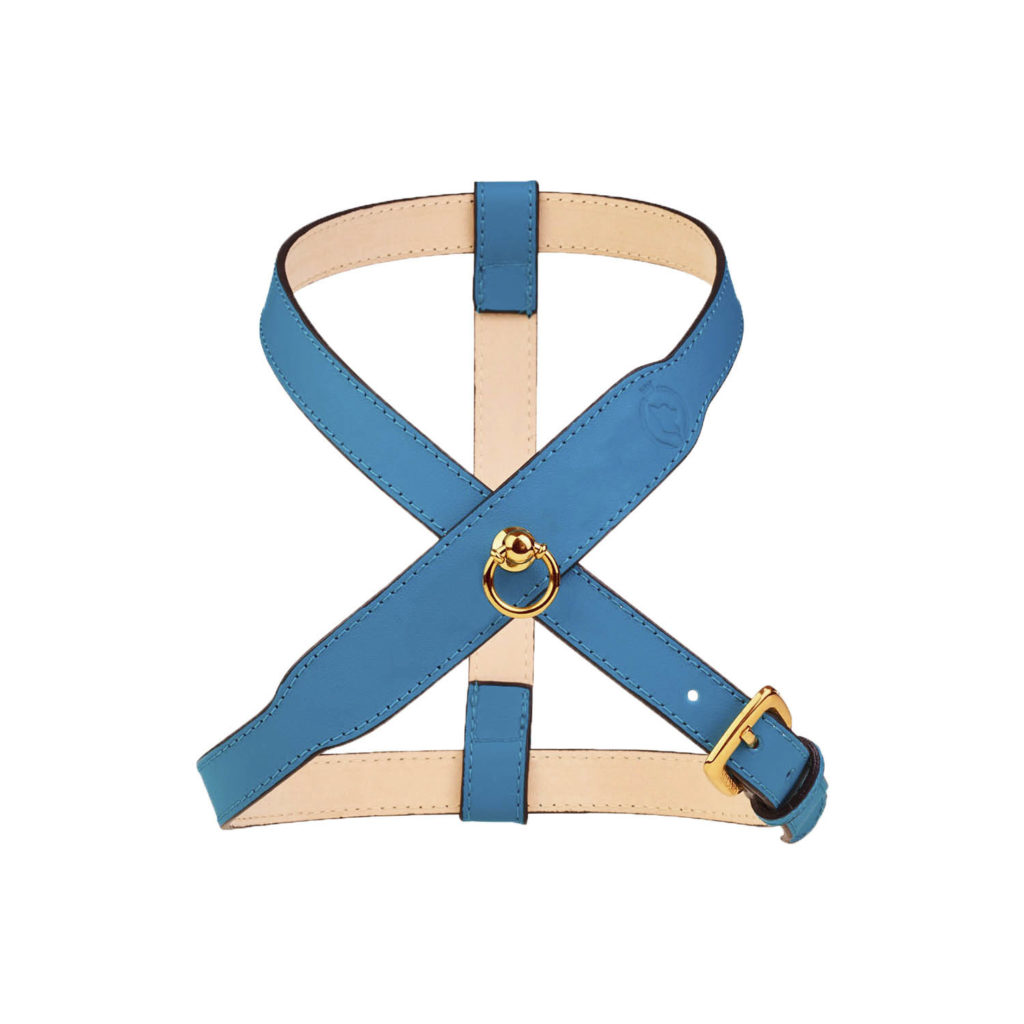 Image of MAYADORO harness for small dogs in luxurious turquoise colour, made with the finest Italian leather, crafted in Italy