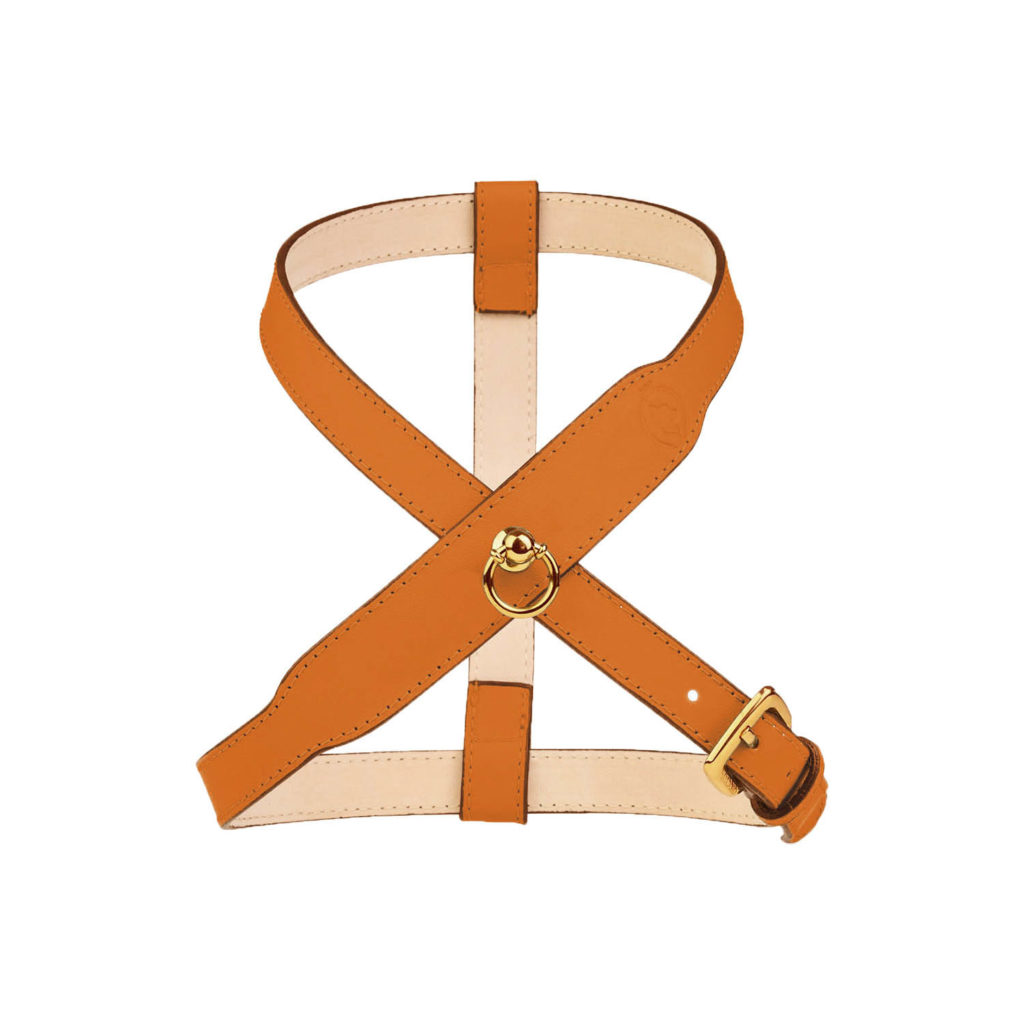 Image of MAYADORO harness for small dogs in luxurious orange color, made with the finest Italian leather, crafted in Italy.