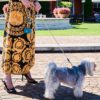 Image of a woman and her dog enjoying summer, with the dog wearing a MAYADORO turquoise harness, matched with a soft velvet leash and a mini bag, all crafted with the finest Italian leather, made in Italy."