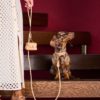 Image of a woman with a dachshund wearing a MAYADORO set in elegant beige, including a dog collar with matching leash and mini bag, crafted with the finest Italian leather, made in Italy.