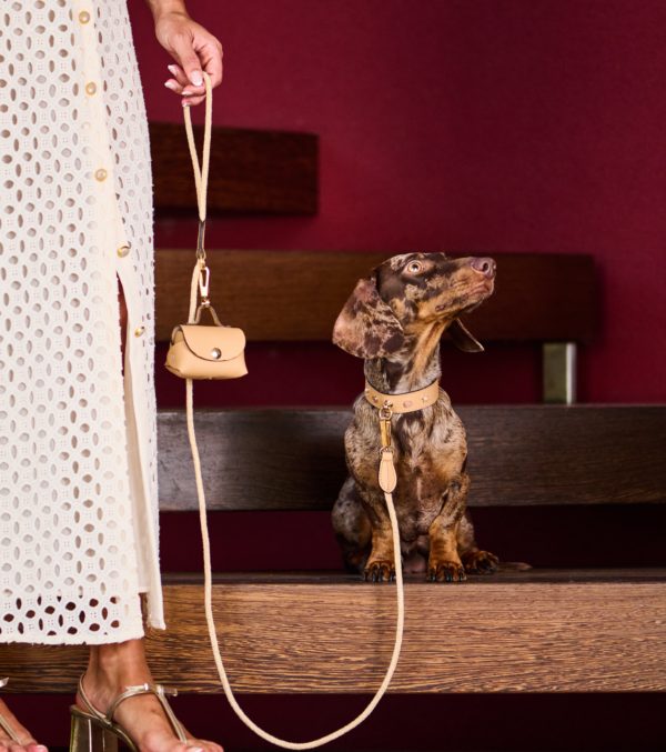 Image of a woman with a dachshund wearing a MAYADORO set in elegant beige, including a dog collar with matching leash and mini bag, crafted with the finest Italian leather, made in Italy.