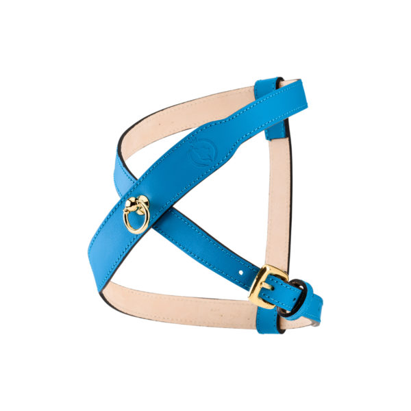 Image of MAYADORO harness for small dogs in luxurious turquoise color, made with the finest Italian leather, crafted in Italy.
