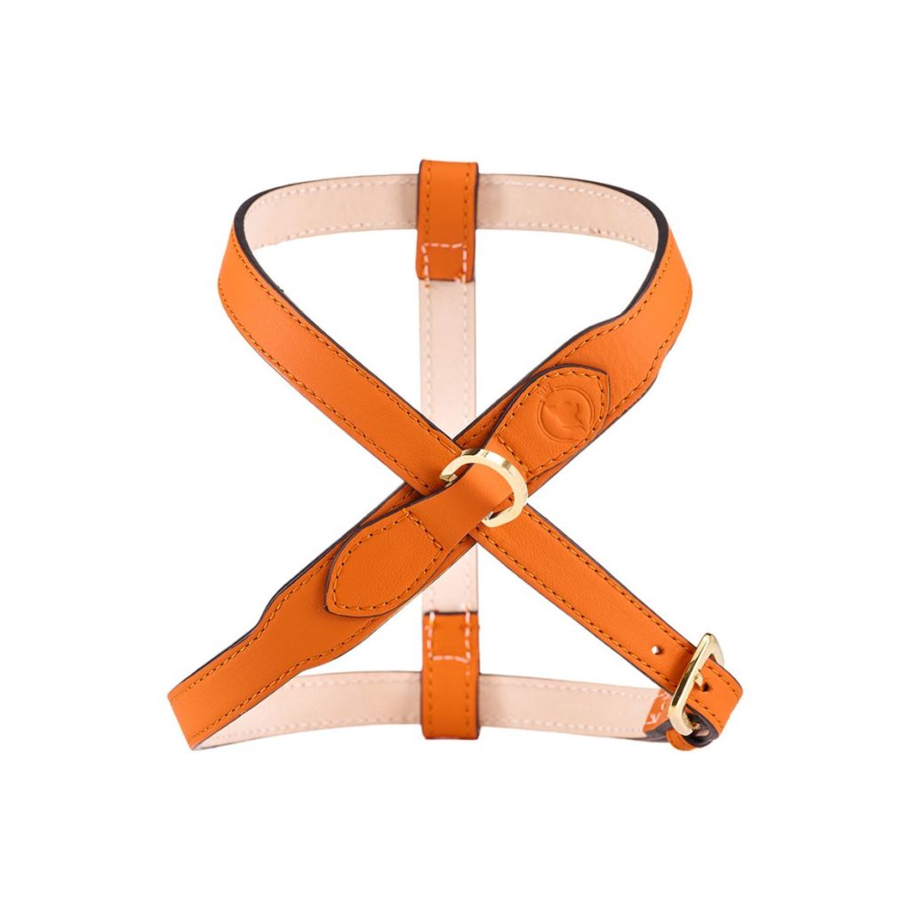 MAYADORO Adjustable Signature Harness Orange Front View – Luxury Dog Harness for Small and Very Small Breeds