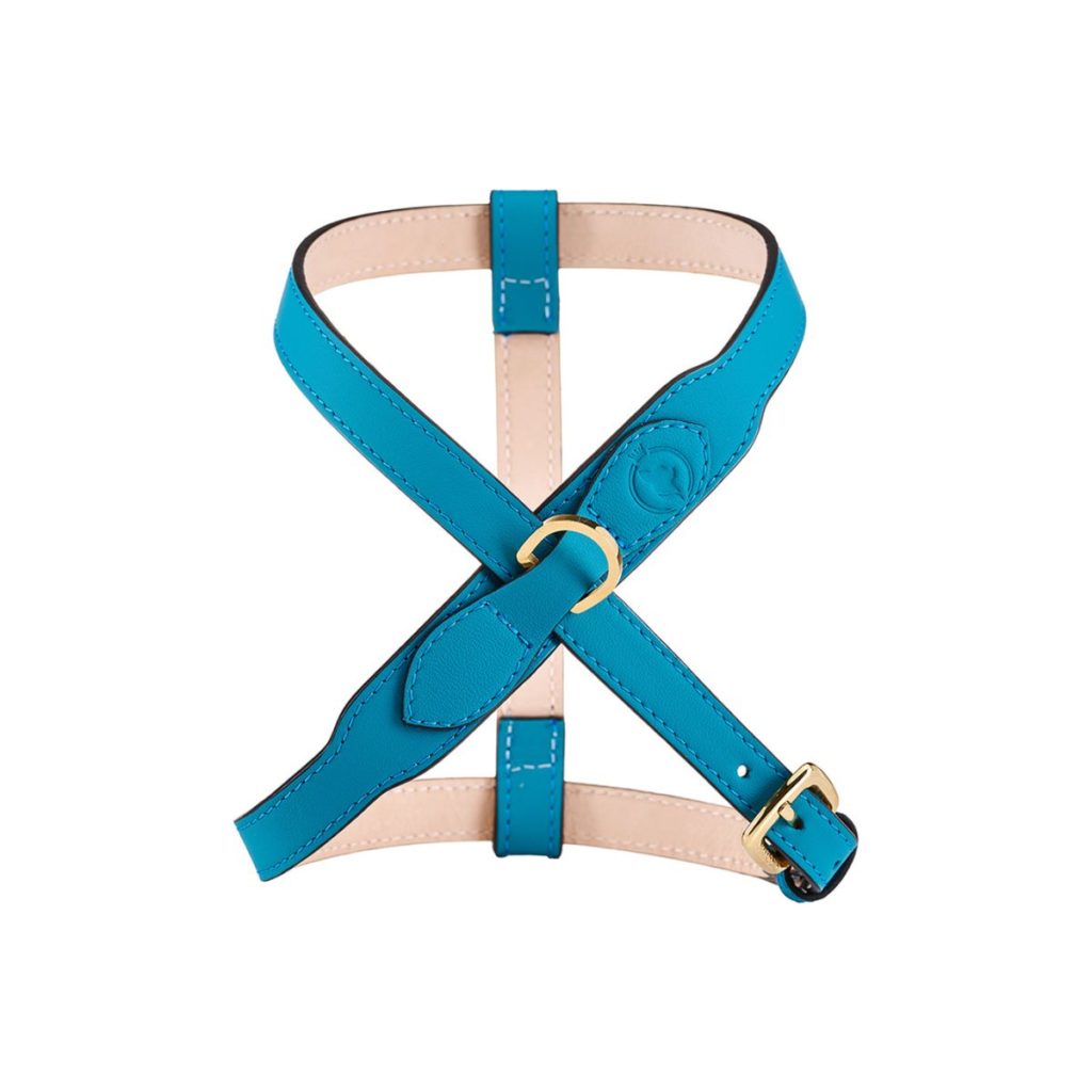 MAYADORO Adjustable Signature Harness Turquoise Front View – Luxury Dog Harness for Small Breeds