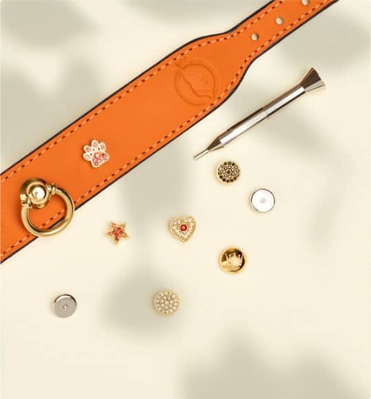 Fine creation for dogs – orange MAYADORO dog collar with 14K gold charms