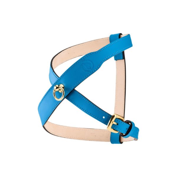 Side view of MAYADORO Signature Dog Harness in Turquoise – Luxury Leather Harness for Small Dogs