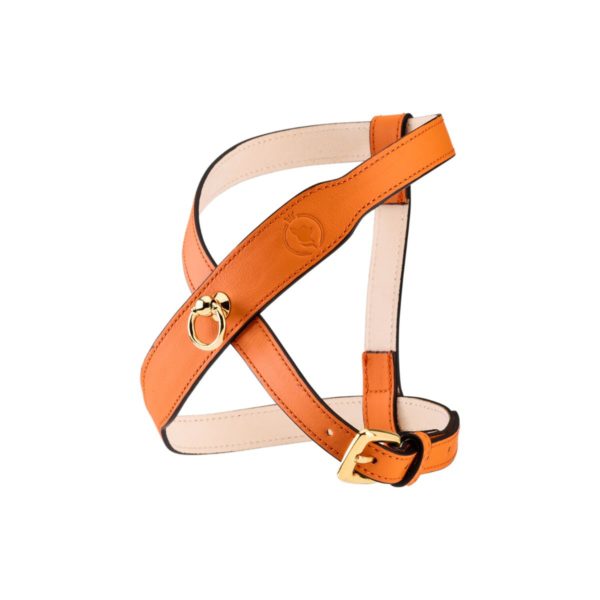 Side view of MAYADORO Signature Dog Harness in Orange – Luxury Leather Harness for Small and Very Small Dogs