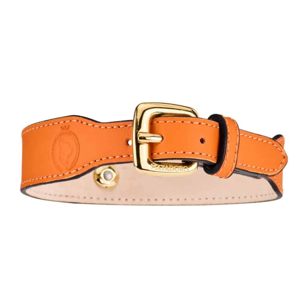 Orange MAYADORO Dog Collar back view with gold stainless steel buckle and embossed brand logo