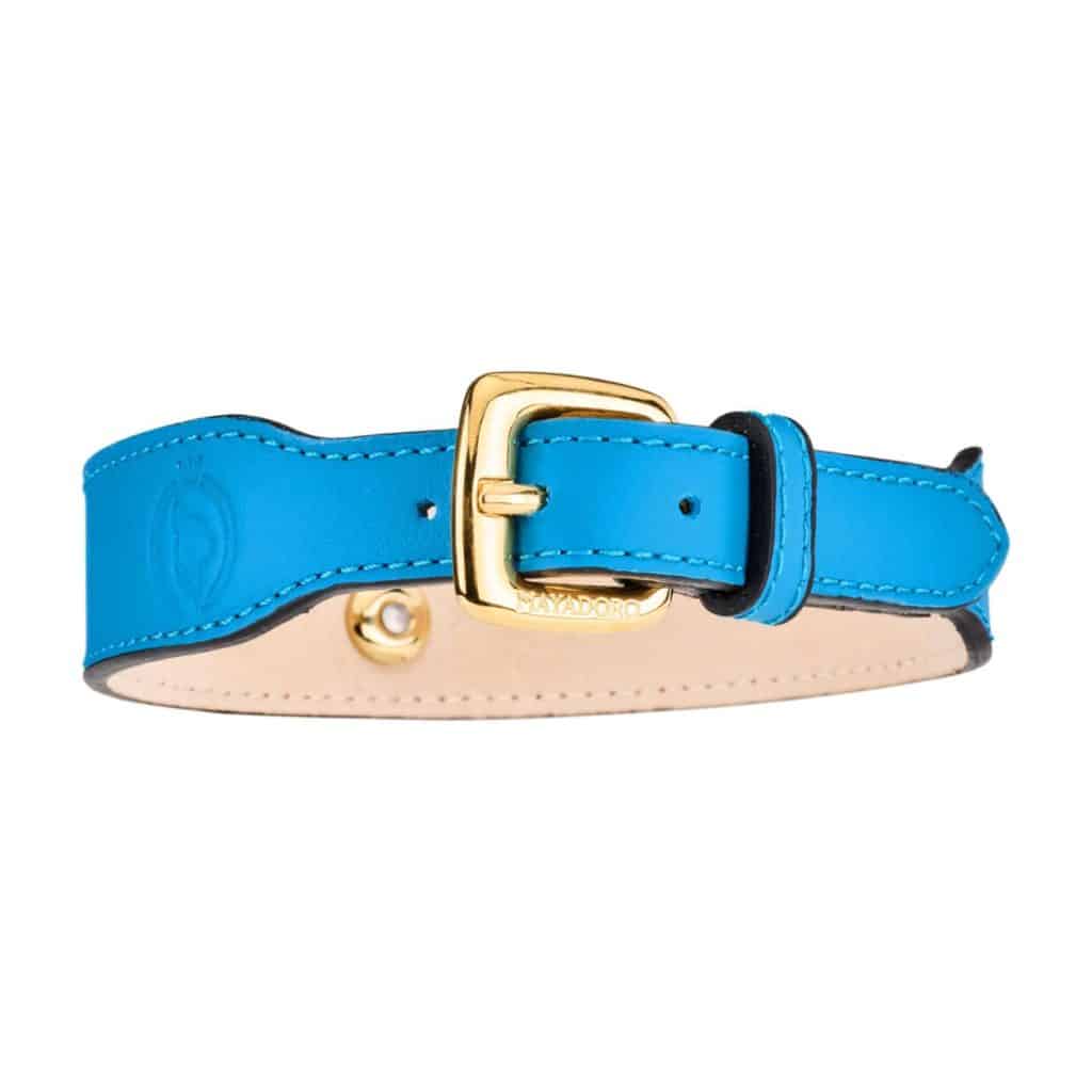 Turquoise MAYADORO Dog Collar back view with gold stainless steel buckle and embossed brand logo
