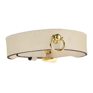 Ivory Signature Dog Collar in nappa and nubuck leather with golden stainless steel details