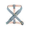 Luxury dog harness in sky blue leather – front view of the MAYADORO Contour Harness, handcrafted in Italy for small dogs