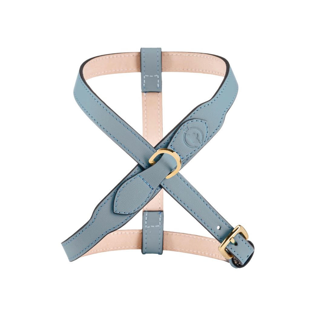 Luxury dog harness in sky blue leather – front view of the MAYADORO Contour Harness, handcrafted in Italy for small dogs