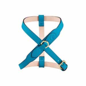 Contour Dog Harness Turquoise – Italian leather harness for small dogs