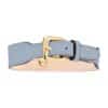 Back view of Signature Dog Collar Sky with logo embossing and gold stainless steel buckle