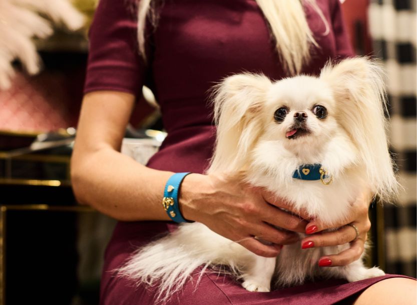 Woman holding white Chihuahua, wearing MAYADORO turquoise bracelet with diamond heart motif