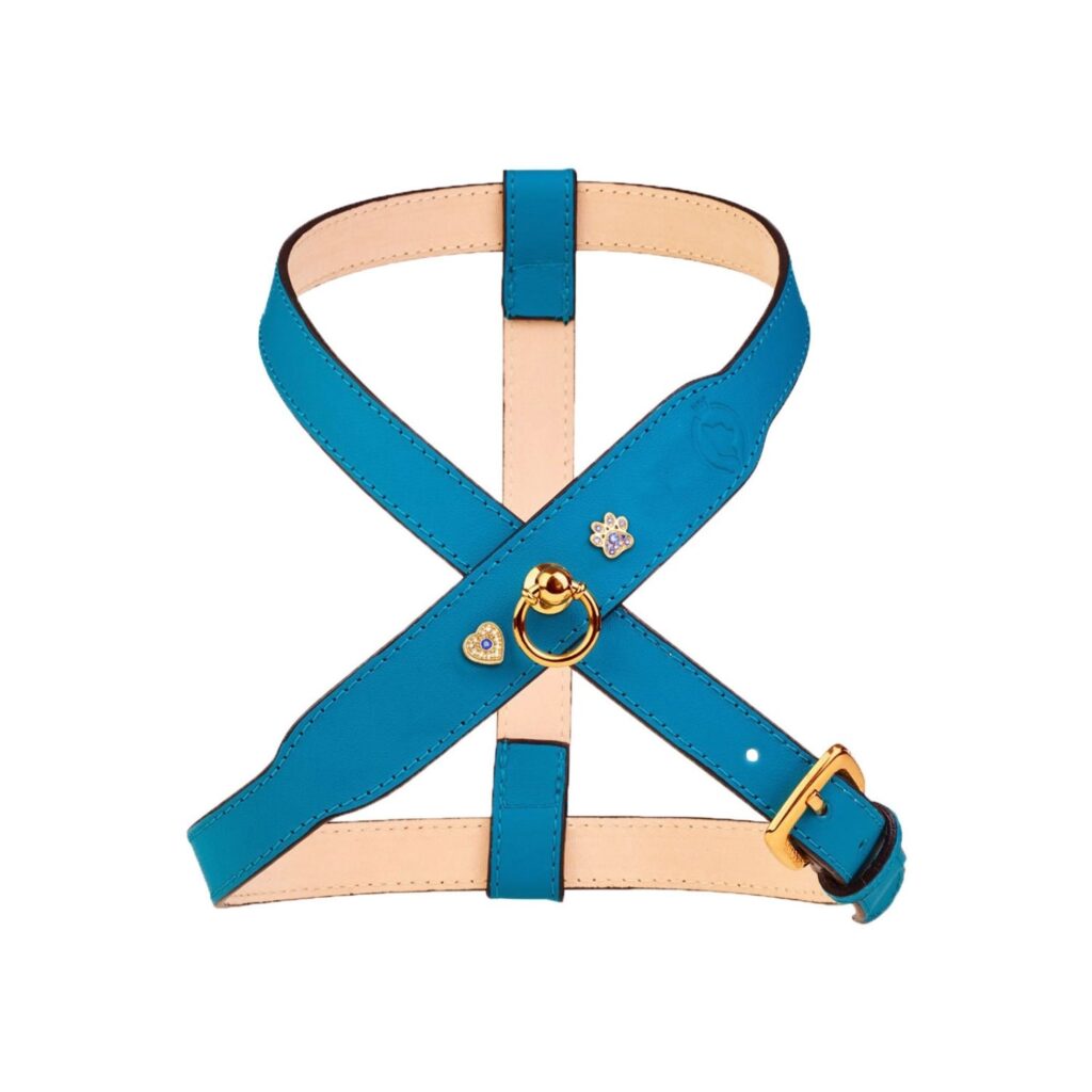 Signature Dog Harness Turquoise with diamonds and blue sapphires