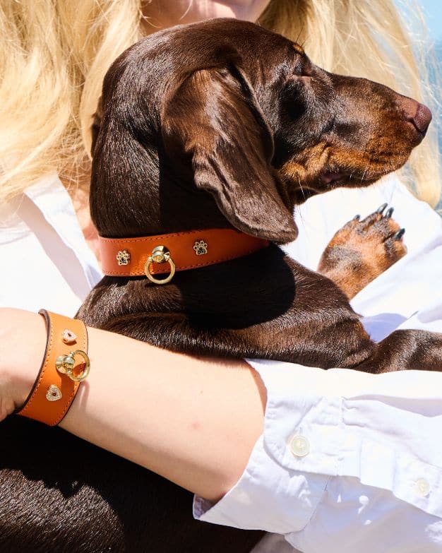 Luxury leather dog collar with gold and diamond details and matching leather bracelet, handcrafted in Italy by MAYADORO